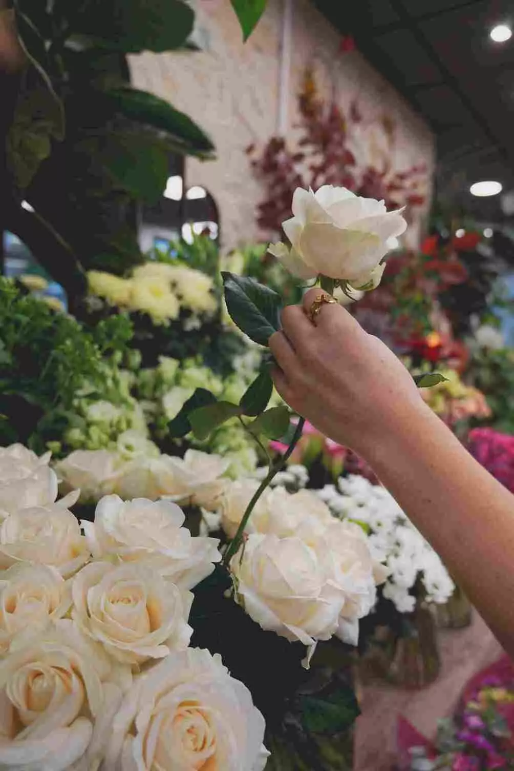 artisan fleuriste angers