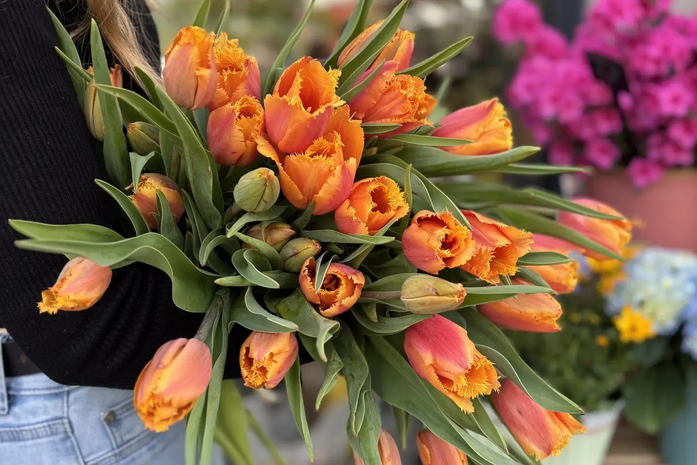 Bouquet de tulipes