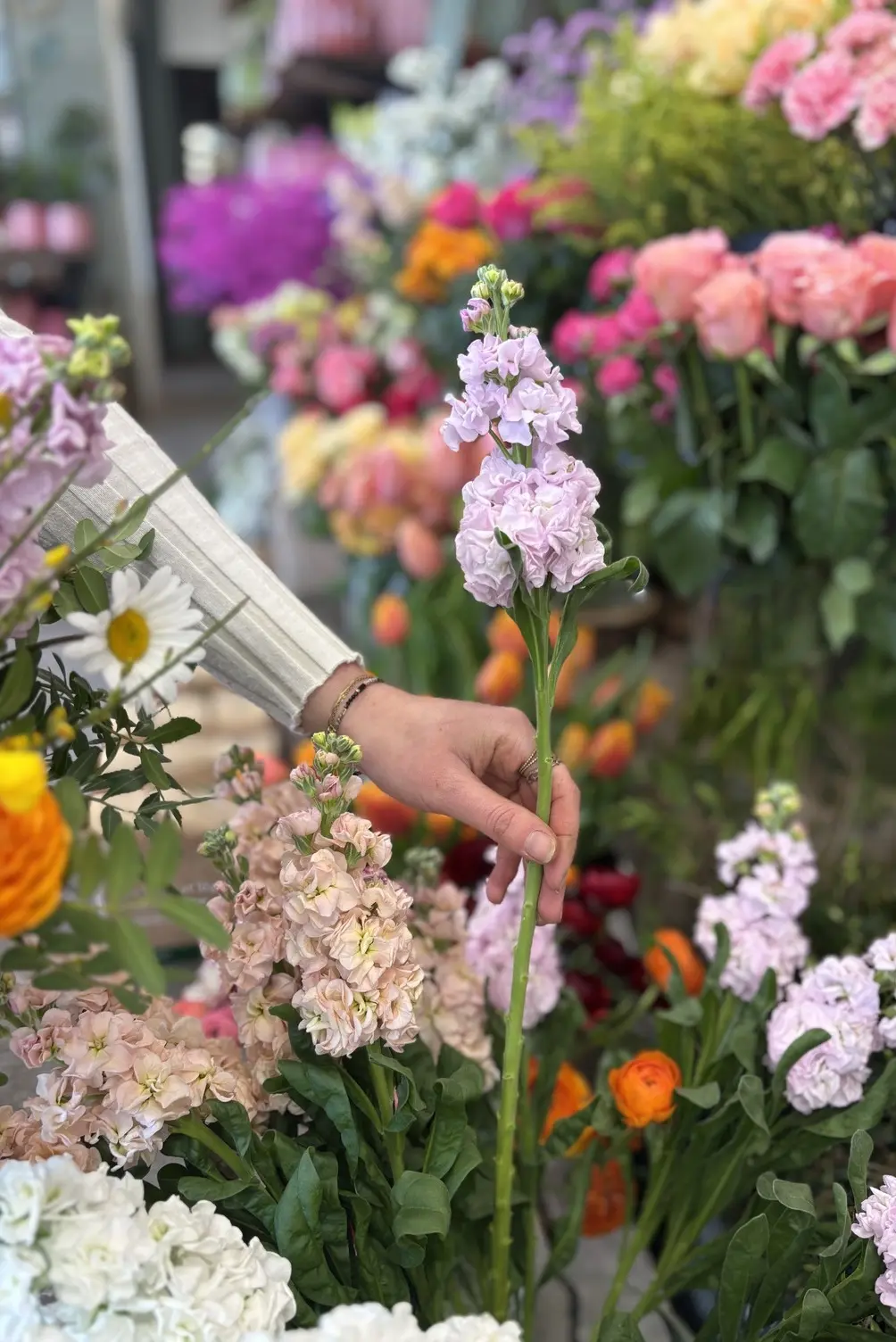 Fleurs